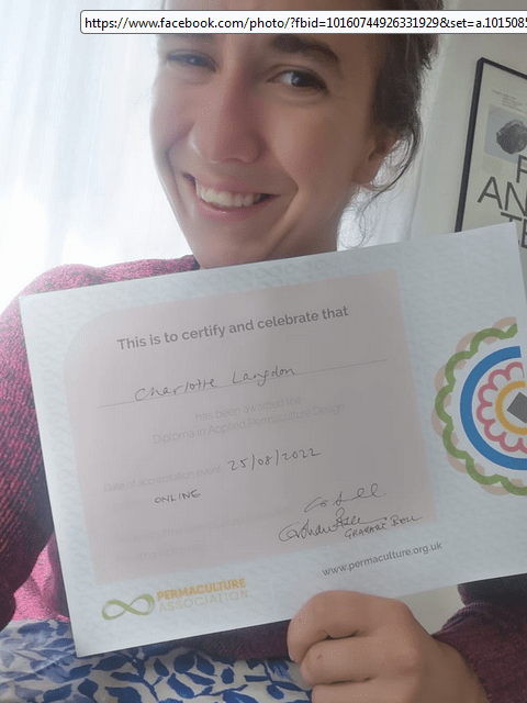 Finishing the Diploma