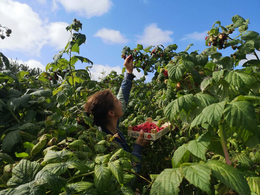 Client Questionnaire Template – Permaculture and Regenerative&nbsp;Design