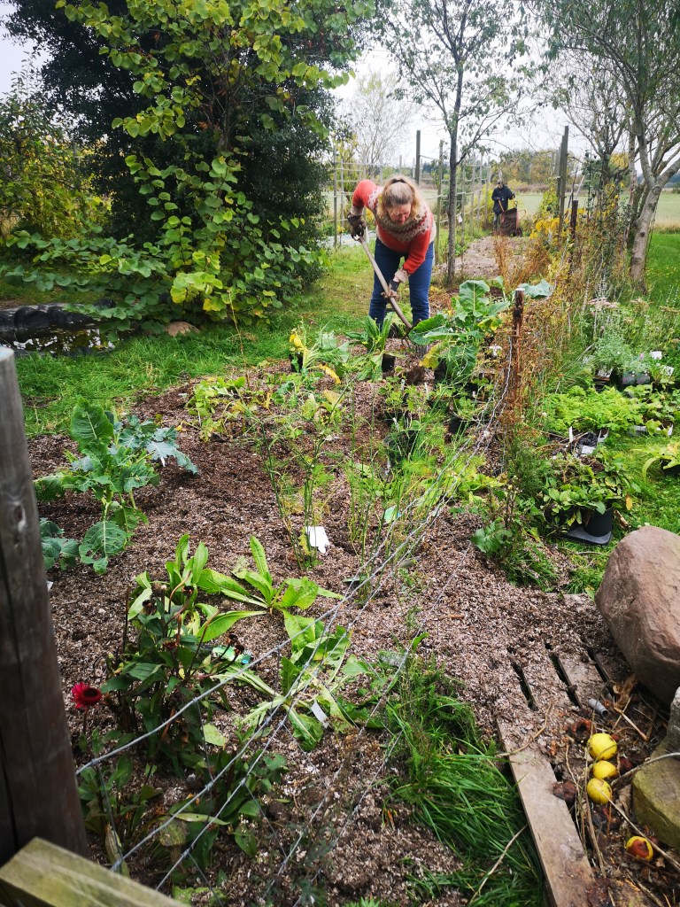 biodiversity garden at hideaway vineyard