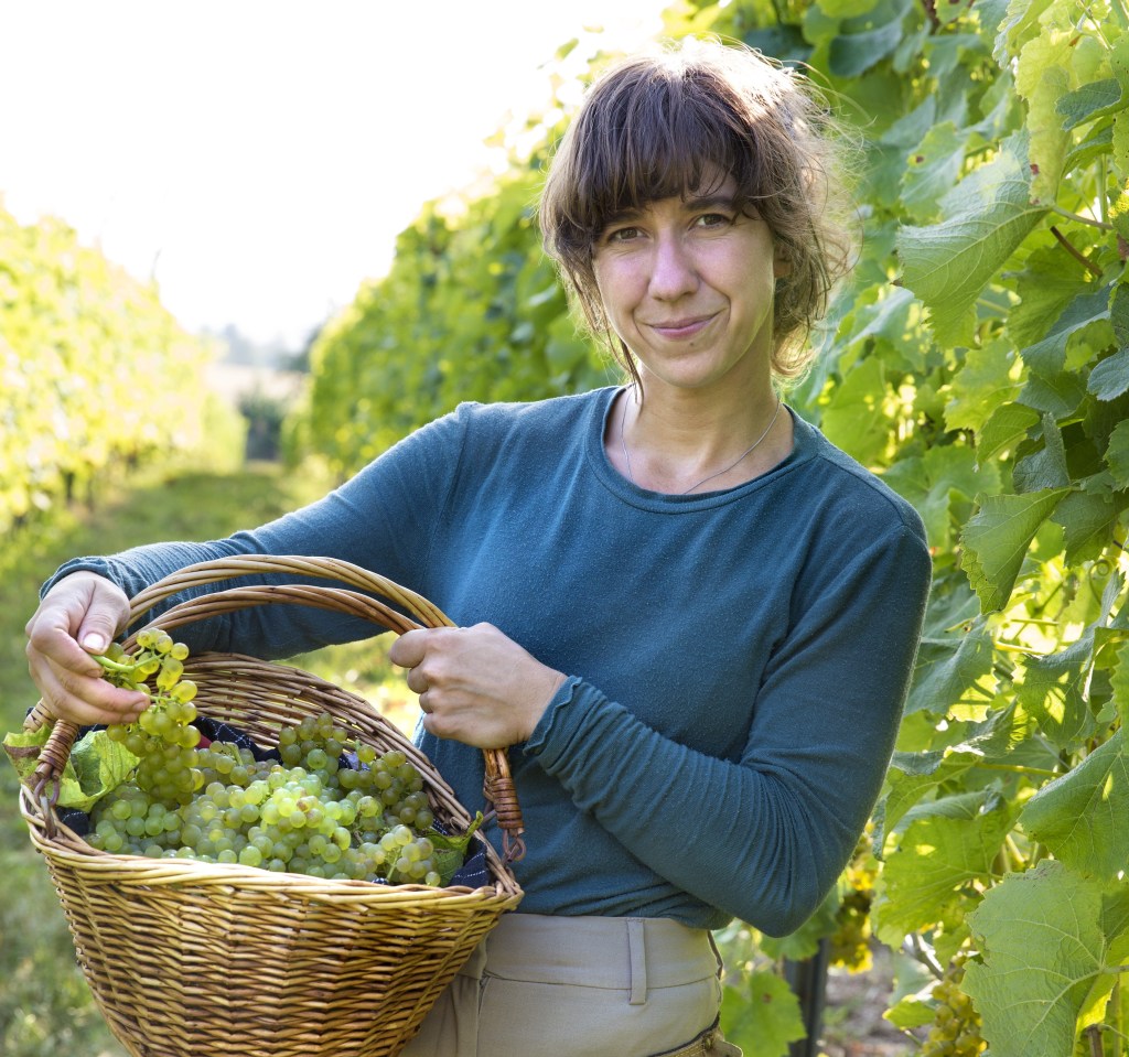 Lou Langdon wine farmer 